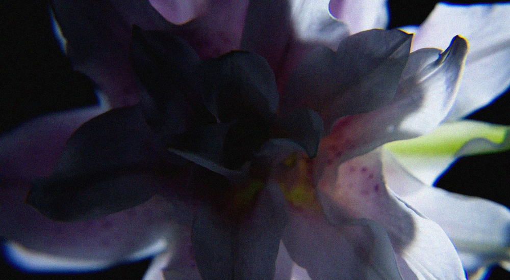 Thé  — Fresh tea with calm clarity