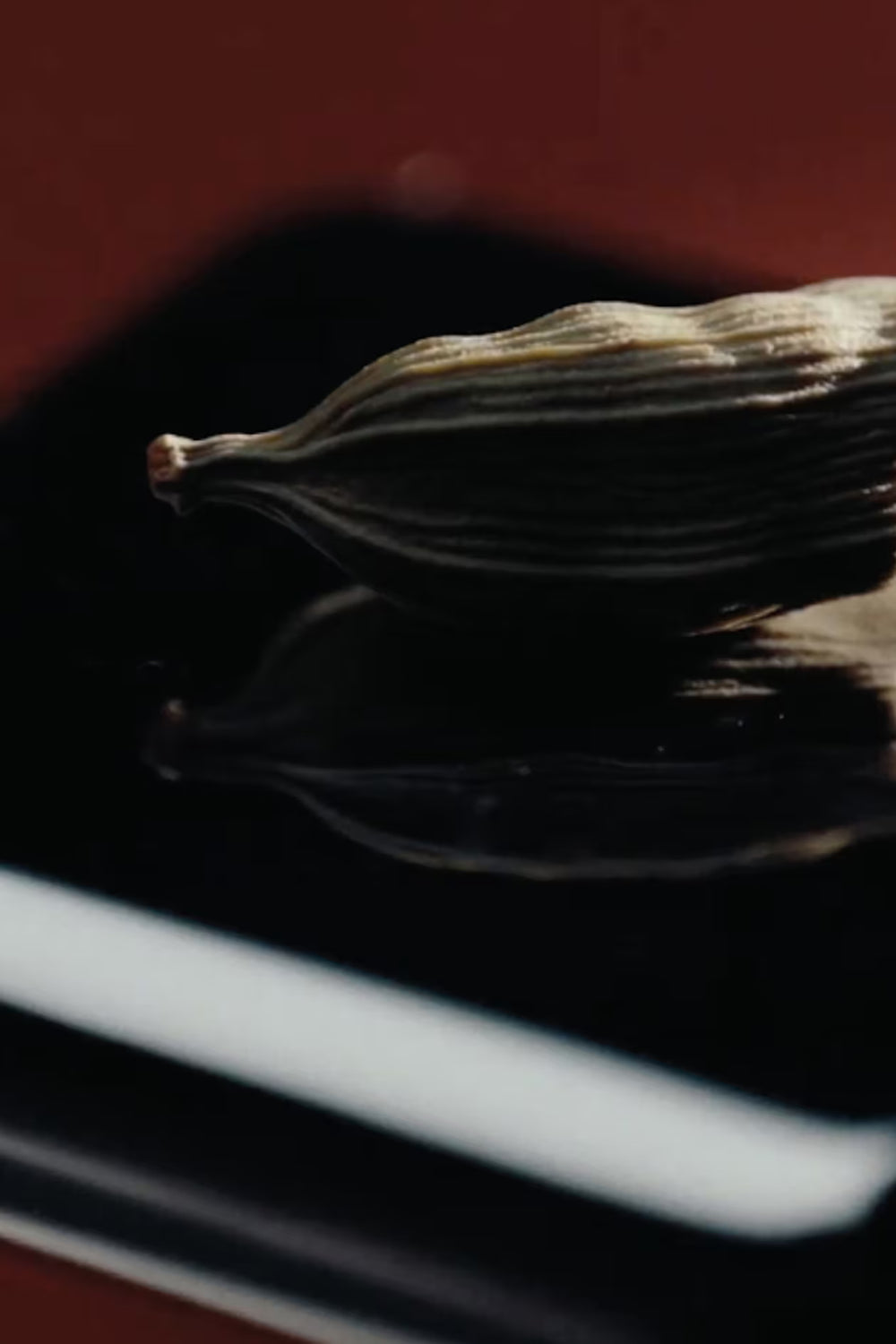 Bois Santal — Soft florals on warm sandalwood